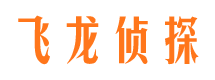 宁城侦探公司